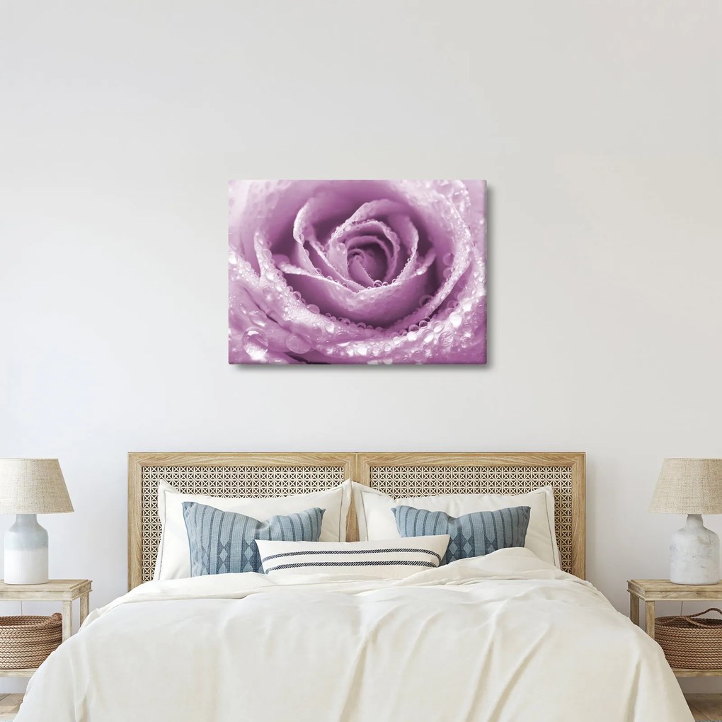 Vászonkép - Egy rózsa virág részlete (70x50 cm)