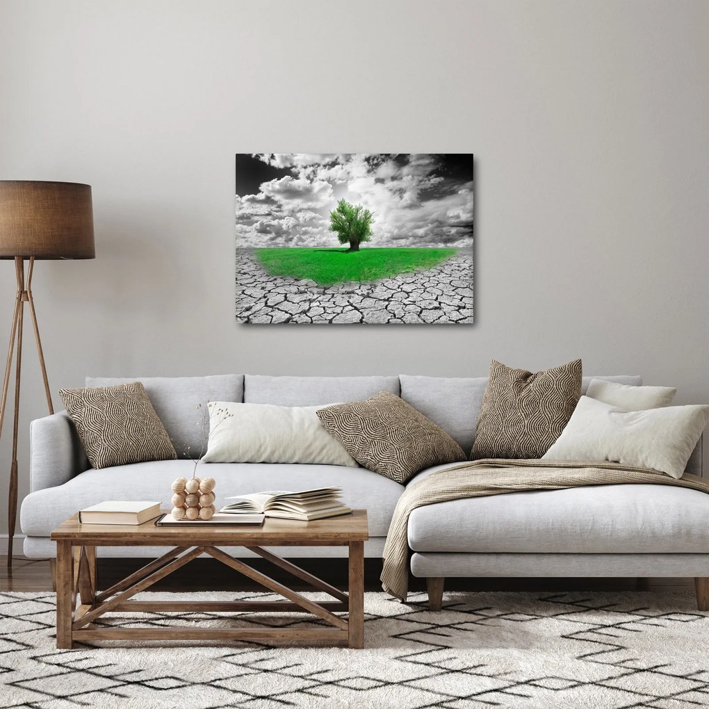 Kép - egy darab természet a városban (70x50 cm)