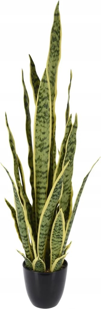 Sanseviera művirág cserépben 92 cm Nagy Terasz Erkély Nappali