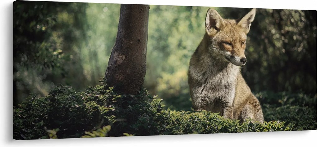 Róka képe (120x50 cm)