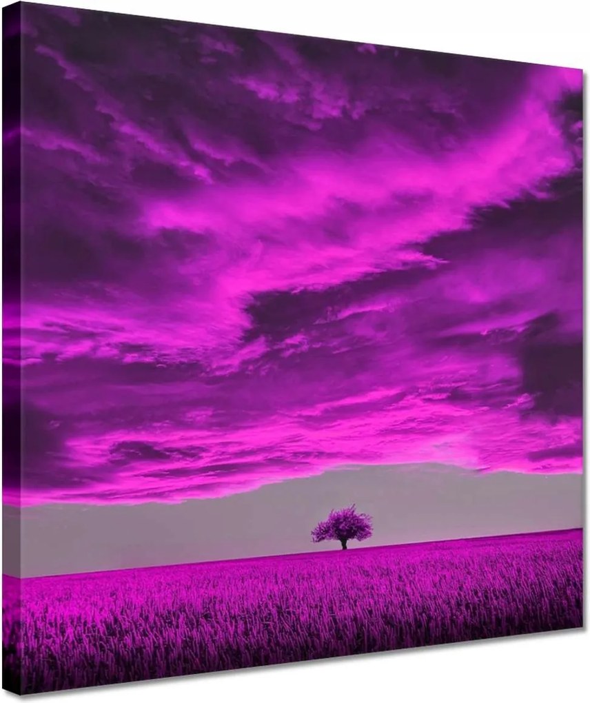 Vászonkép 30x30 Lila tájkép