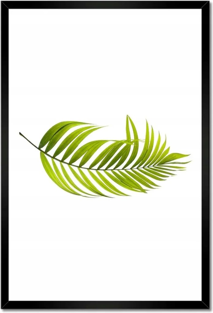 Poszterek keretben 40x60 Zöld levél Minimalizmus
