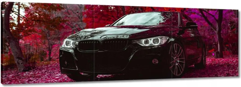 Vászonkép 90x30 Fekete Bmw Ősz