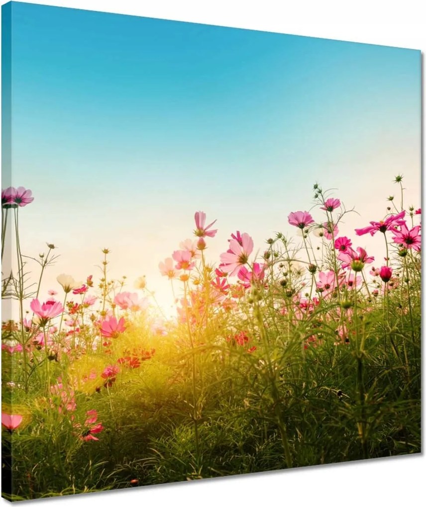 Vászonkép 40x40 Kozmikus virágok