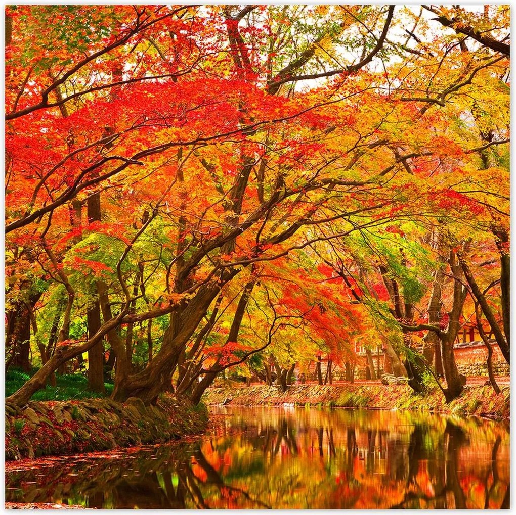 Poszterek 100x100 Őszi tájkép folyóval