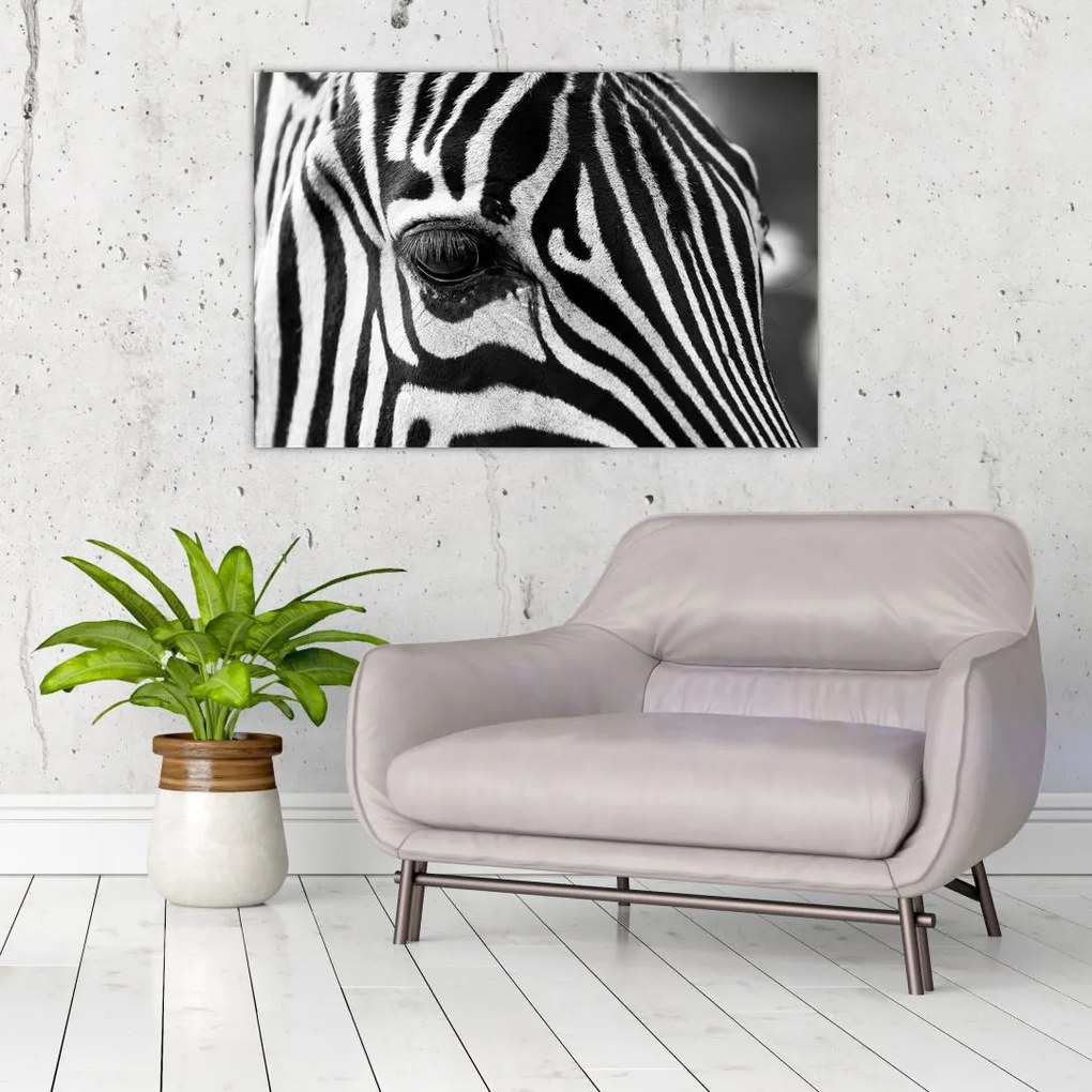 Zebra képe (90x60 cm)