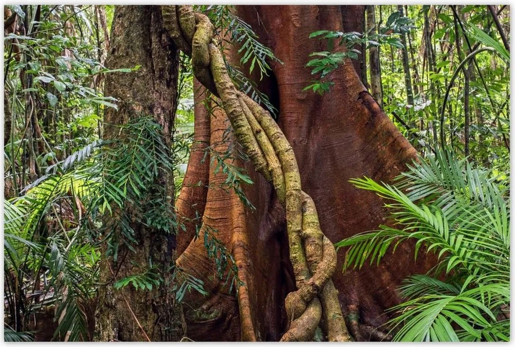 Poszterek 120x80 Tájkép Látvány