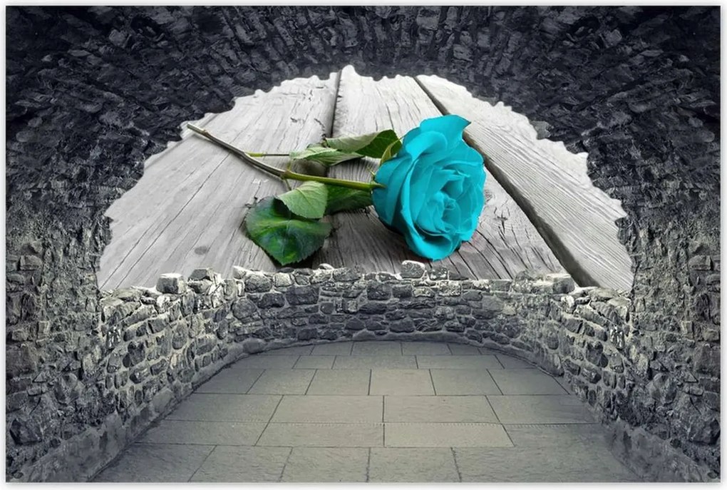 Poszterek 120x80 Kék rózsa a deszkákon