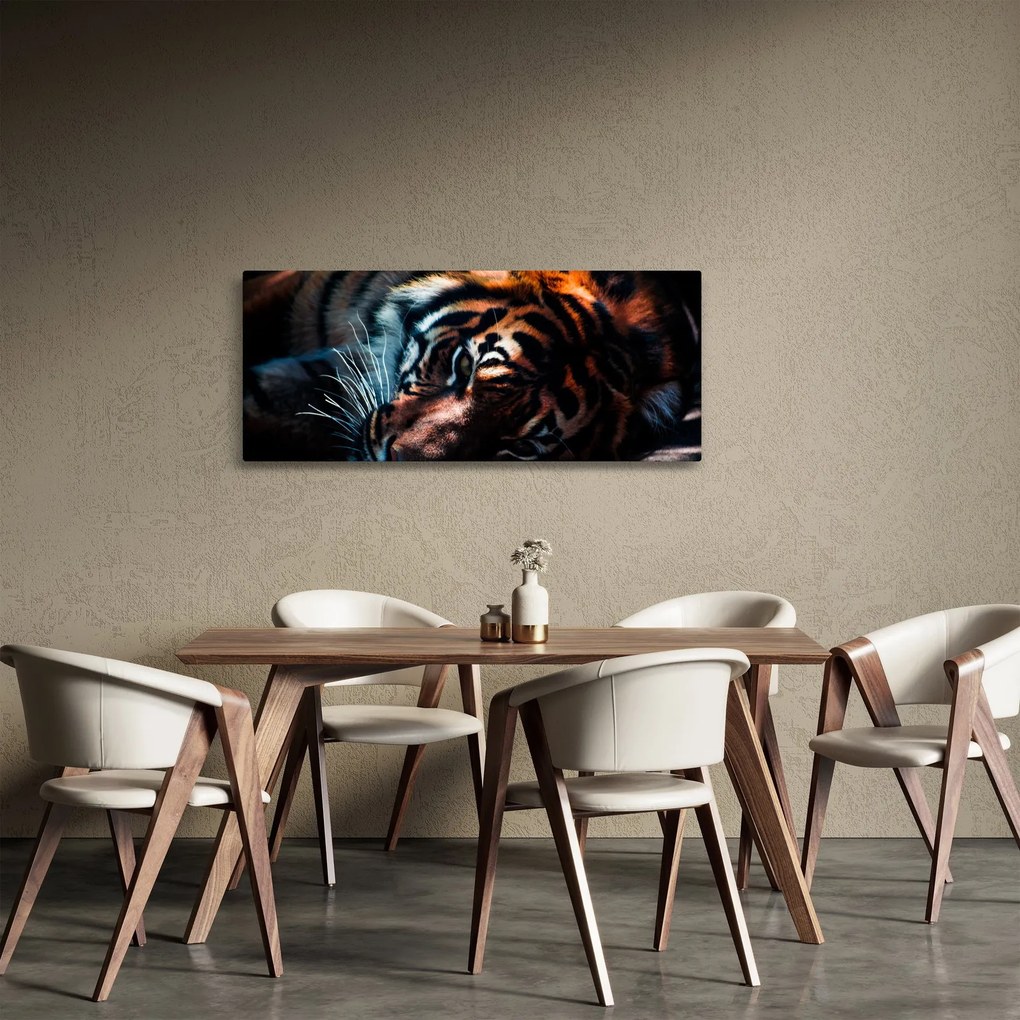 Egy fekvő tigris képe (120x50 cm)