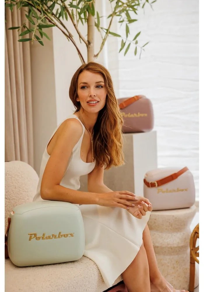 Barna hűtődoboz 6 l Classic Gold – Polarbox