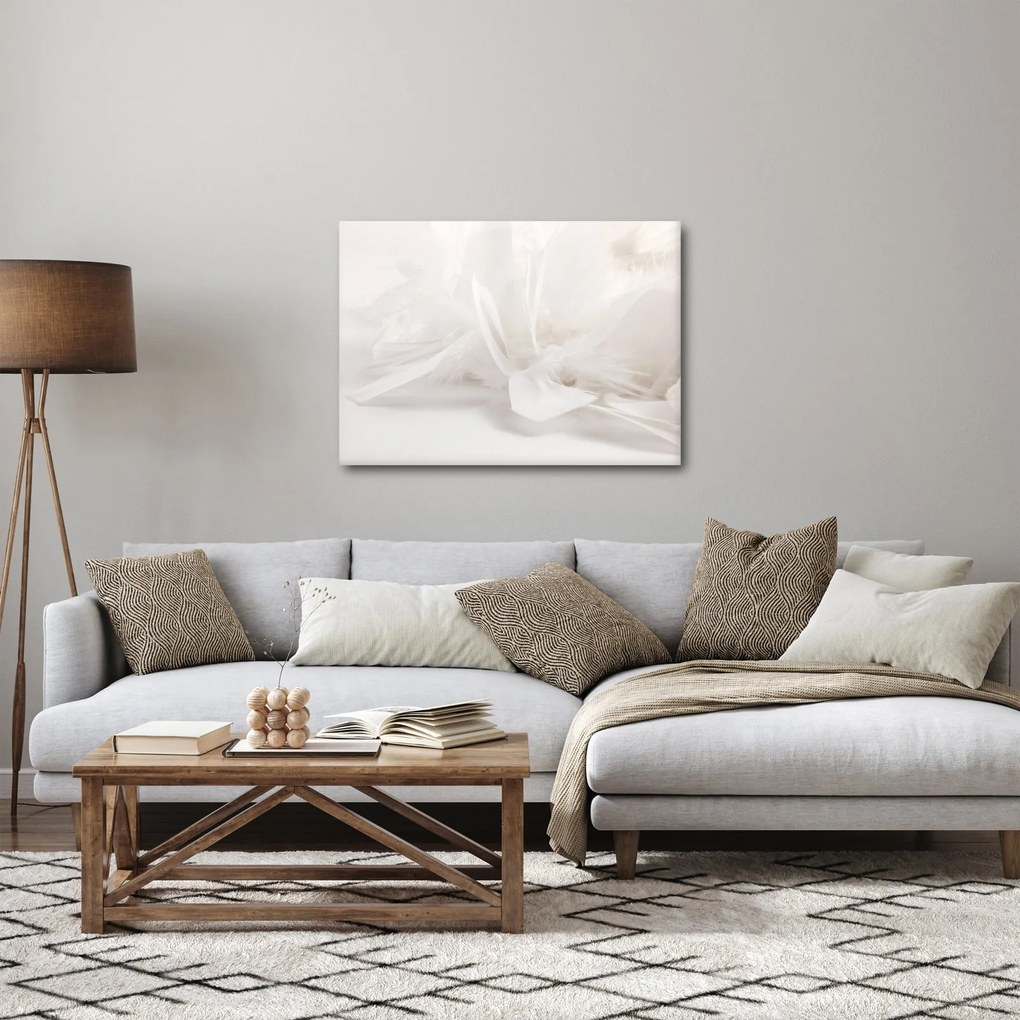 Kép - Toll (70x50 cm)
