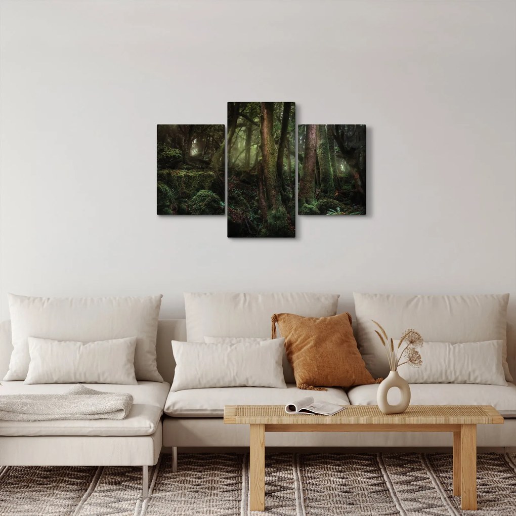 Kép - Titokzatos erdő (90x60 cm)