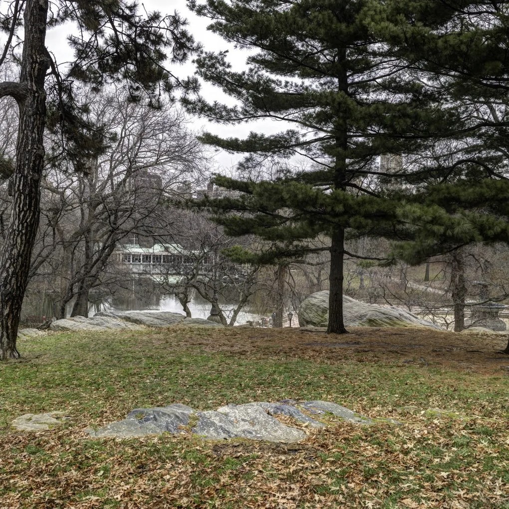 Poszter 80x80cm Central Park, New York, Assaf Frank