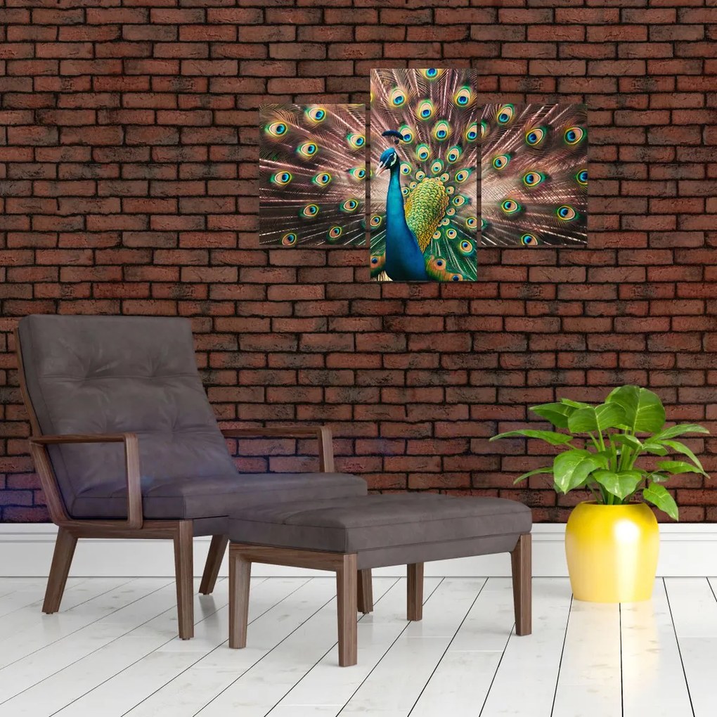 Kép - Páva (90x60 cm)