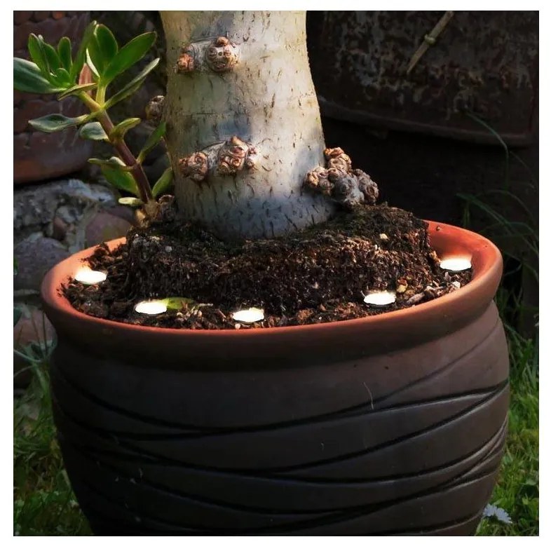 Eglo 900117 - SPINETOLI kültéri LED dekorációs lánc 6xLED IP65