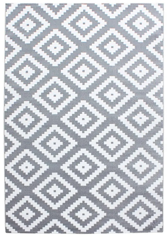Világosszürke szőnyeg 120x170 cm Plus – Ayyildiz Carpets