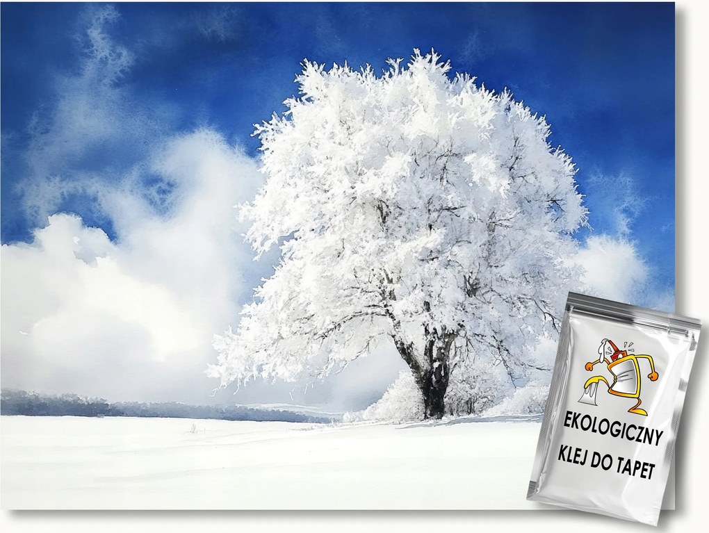 Fotótapéta Flizelina Tájkép Tél Hó Hófúvás Fa Dér 416x290 ragasztó