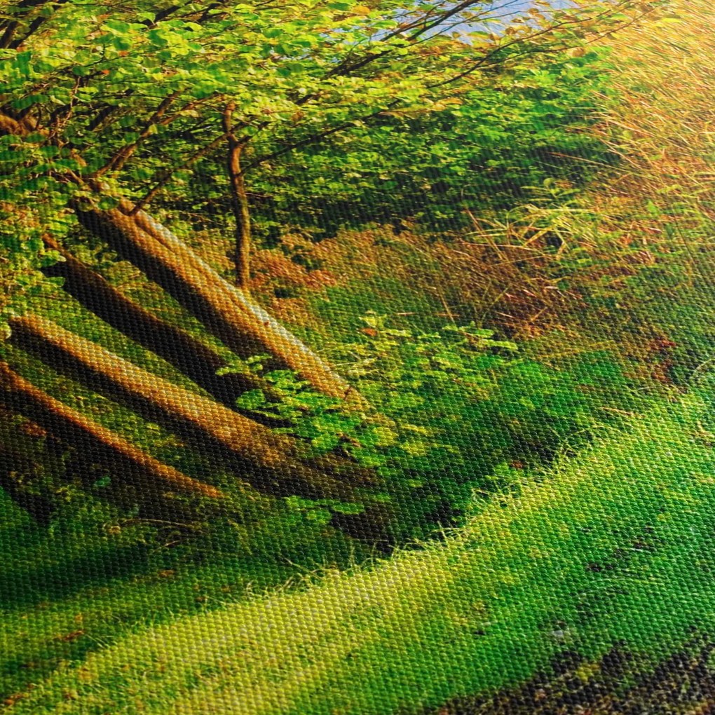 A víz menti sétányok képe (órával) (90x30 cm)