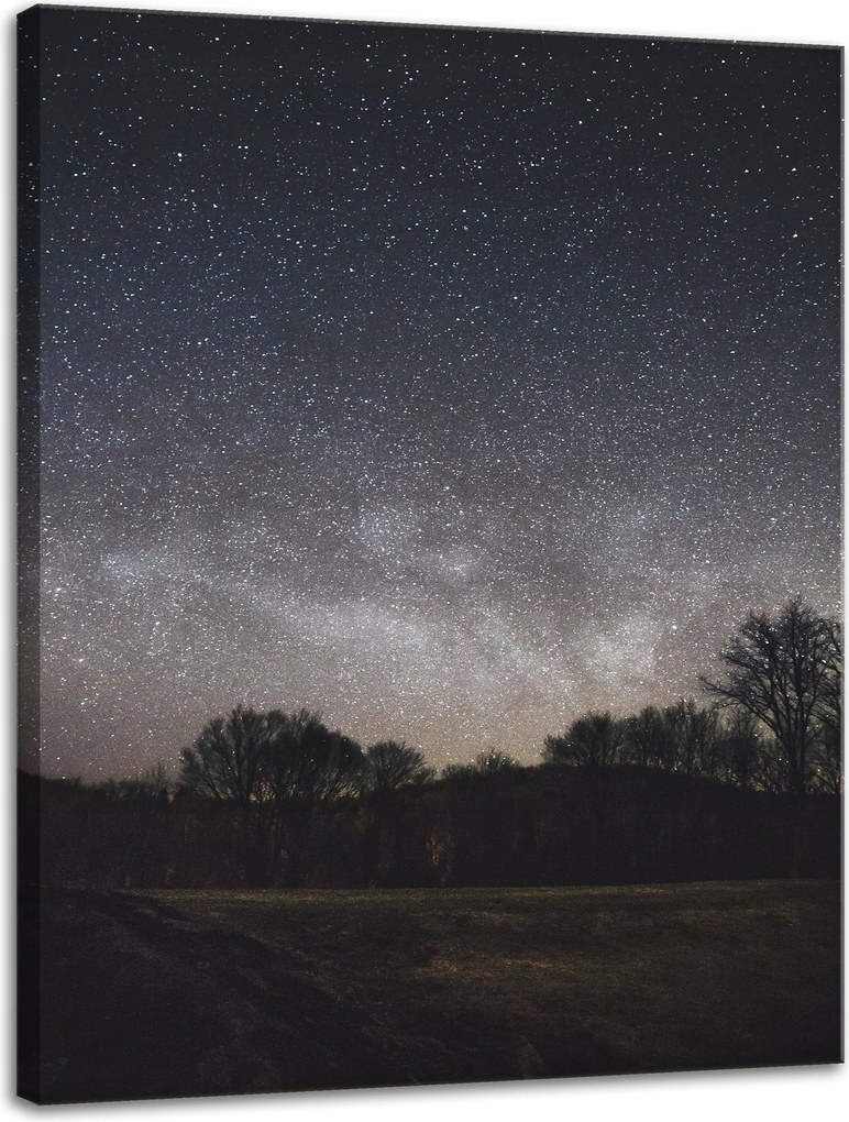 Vászonkép Kozmosz Csillagos égbolt 30x40