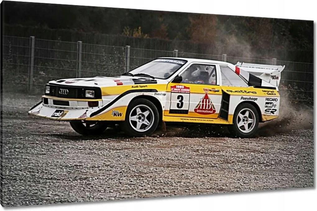 Képek 120x70 Audi Quattro Drift oldalfal