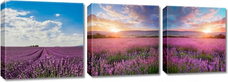 Képek Triptichonok 3x 30x30 Levendula kilátás