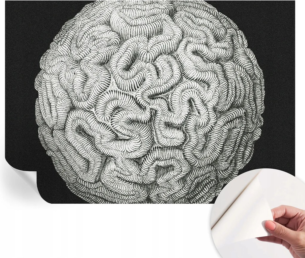 Divatos öntapadós tapéta Fali furnér Gömb alakú szerkezet 208x146 cm