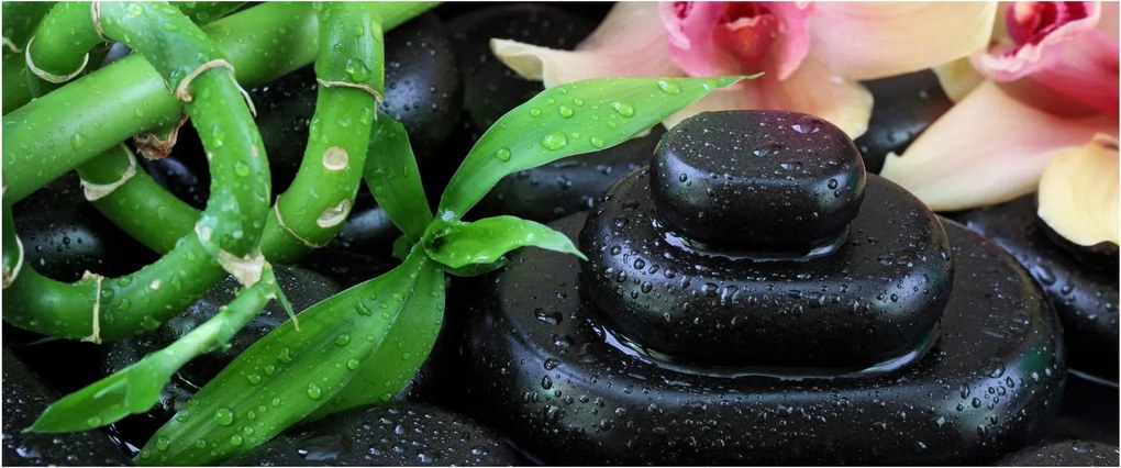 Kép - Kövek és orchideák (120x50 cm)