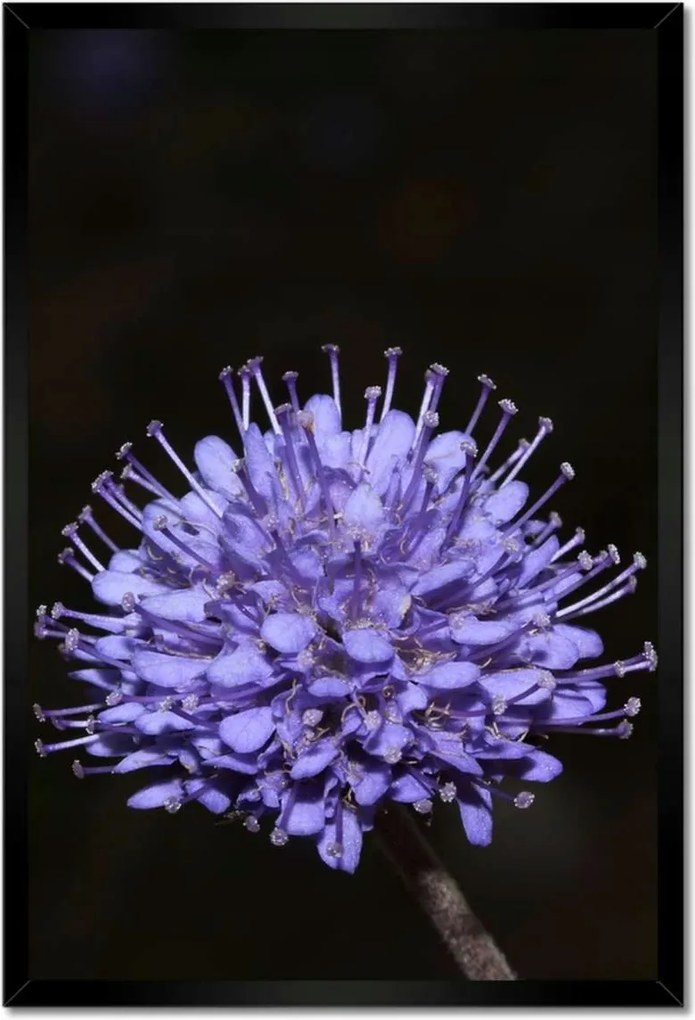 Poszterek keretben 40x60 Nőnap Ajándék Love