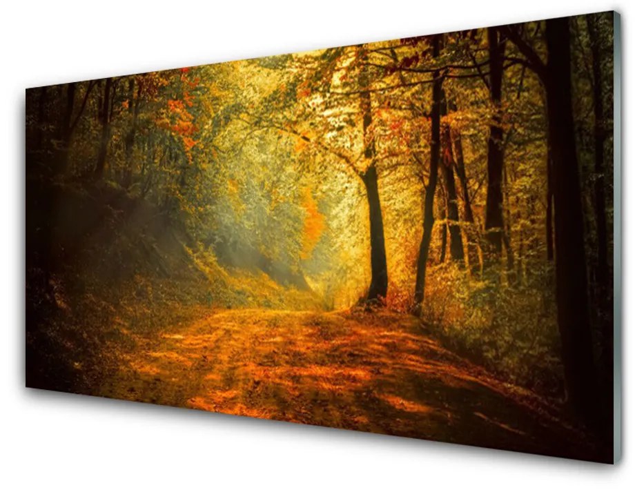 Üvegkép Forest Lane fák természet 140x70 cm