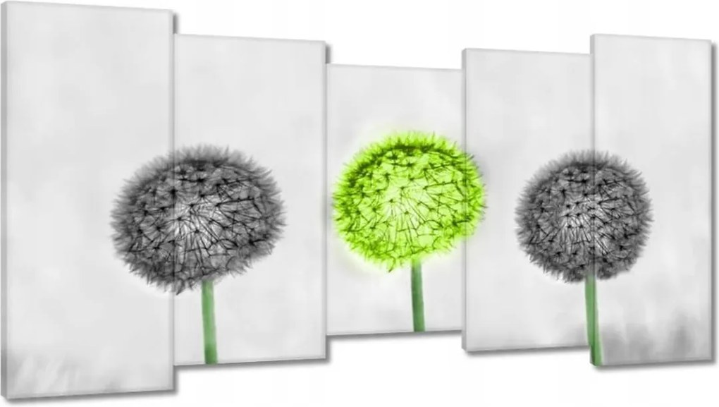 Vászonkép 150x80 Lime közép