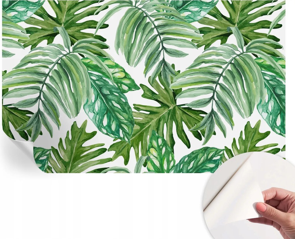 Matt öntapadós fotótapéta Falra Egzotikus levelek 416x254 cm