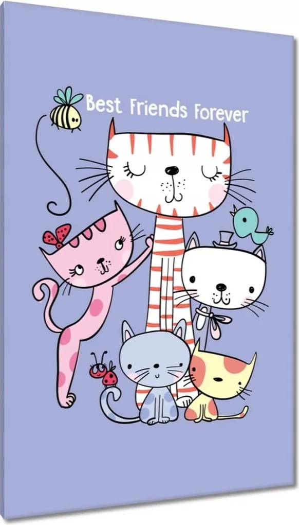 Vászonkép 80x120 Cica Cicák Macskák