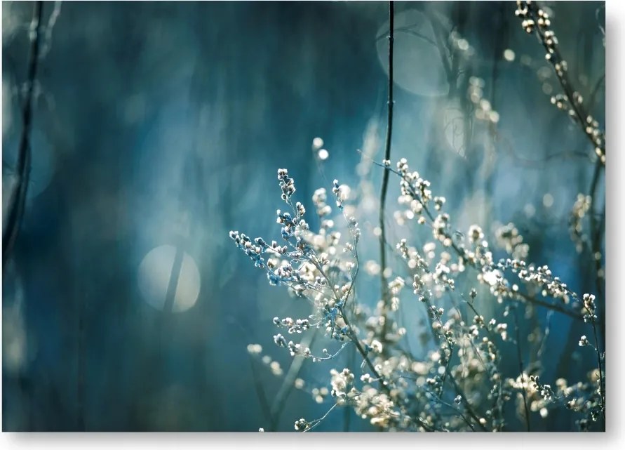 Fa Kék Boho poszter 40x50 cm kép #209