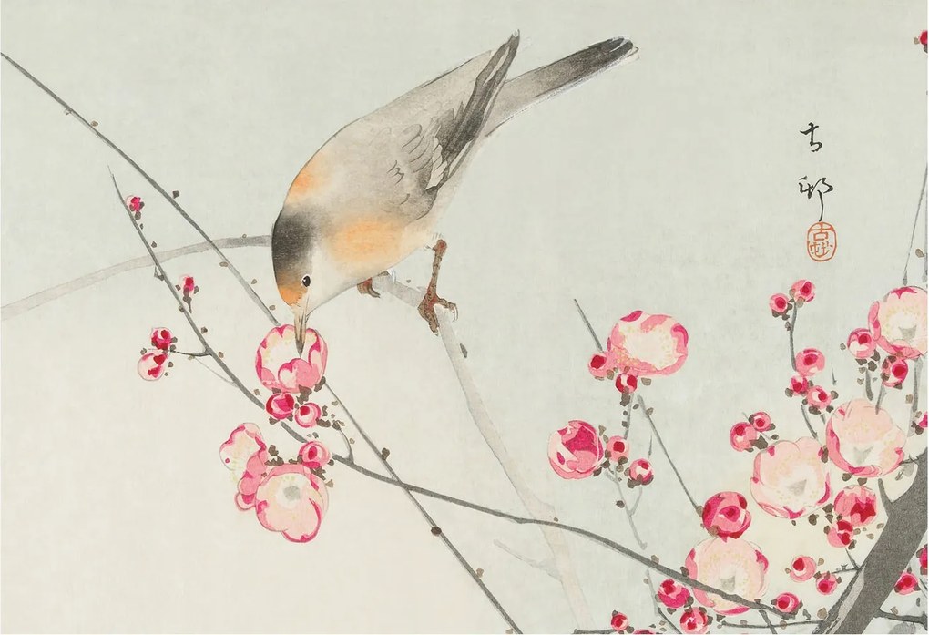 Fotótapéta Flizelin Hálószoba és Nappali Tapéta Virágos madár 152x104