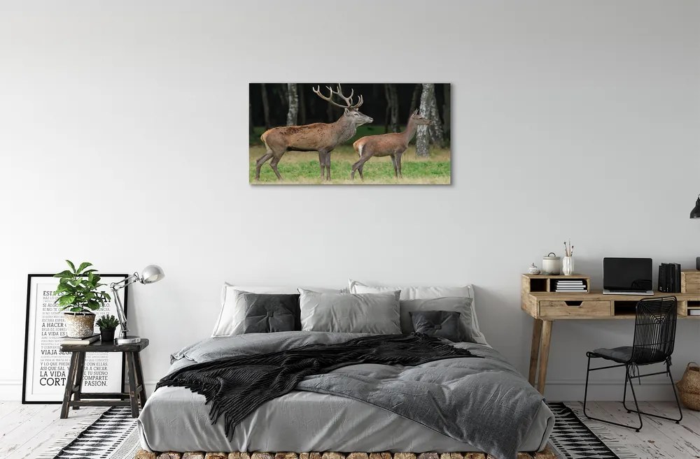 Canvas képek szarvas erdei 140x70 cm