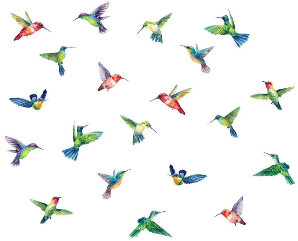 Ablakmatrica szett 20 db-os 40x60 cm Hummingbirds – Ambiance