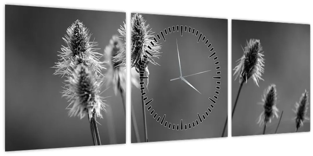 Kép - Bézs színű puha fű N⁰2 (órával) (90x30 cm)