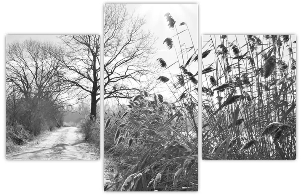 Kép - Mezők télen (90x60 cm)