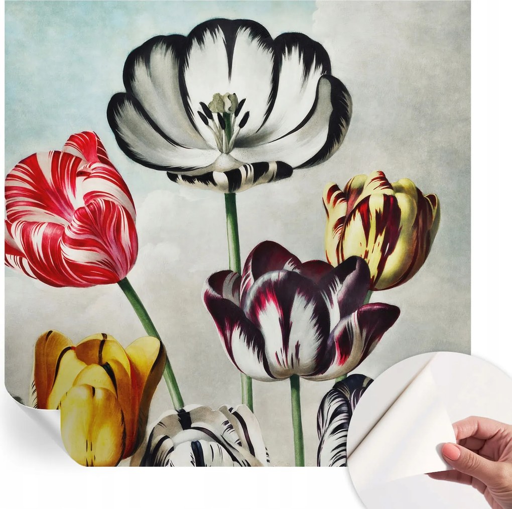 Modern Öntapadós Fotótapéta Mosható Színes tulipánok 250x250 cm