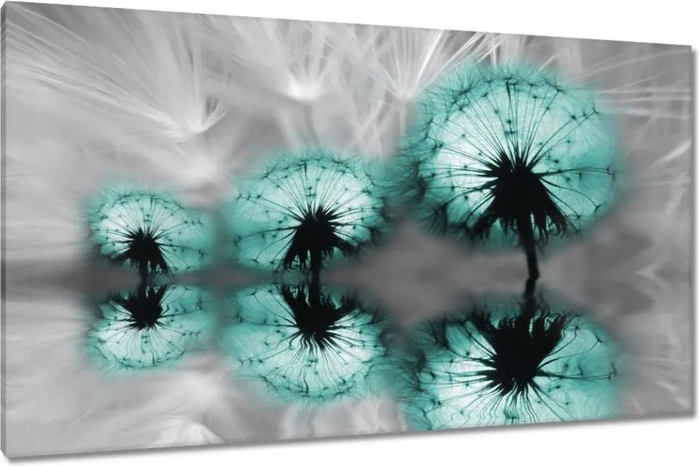 Vászonkép 120x70 Türkiz pitypang virág