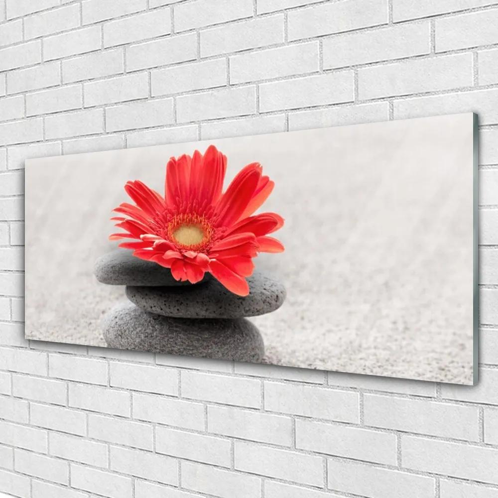 Akrilkép gerbera virág 100x50 cm