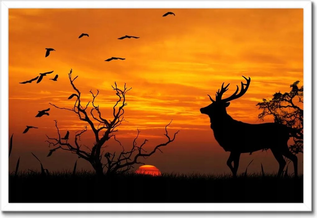 Poszterek keretben 60x40 Szarvas és naplemente