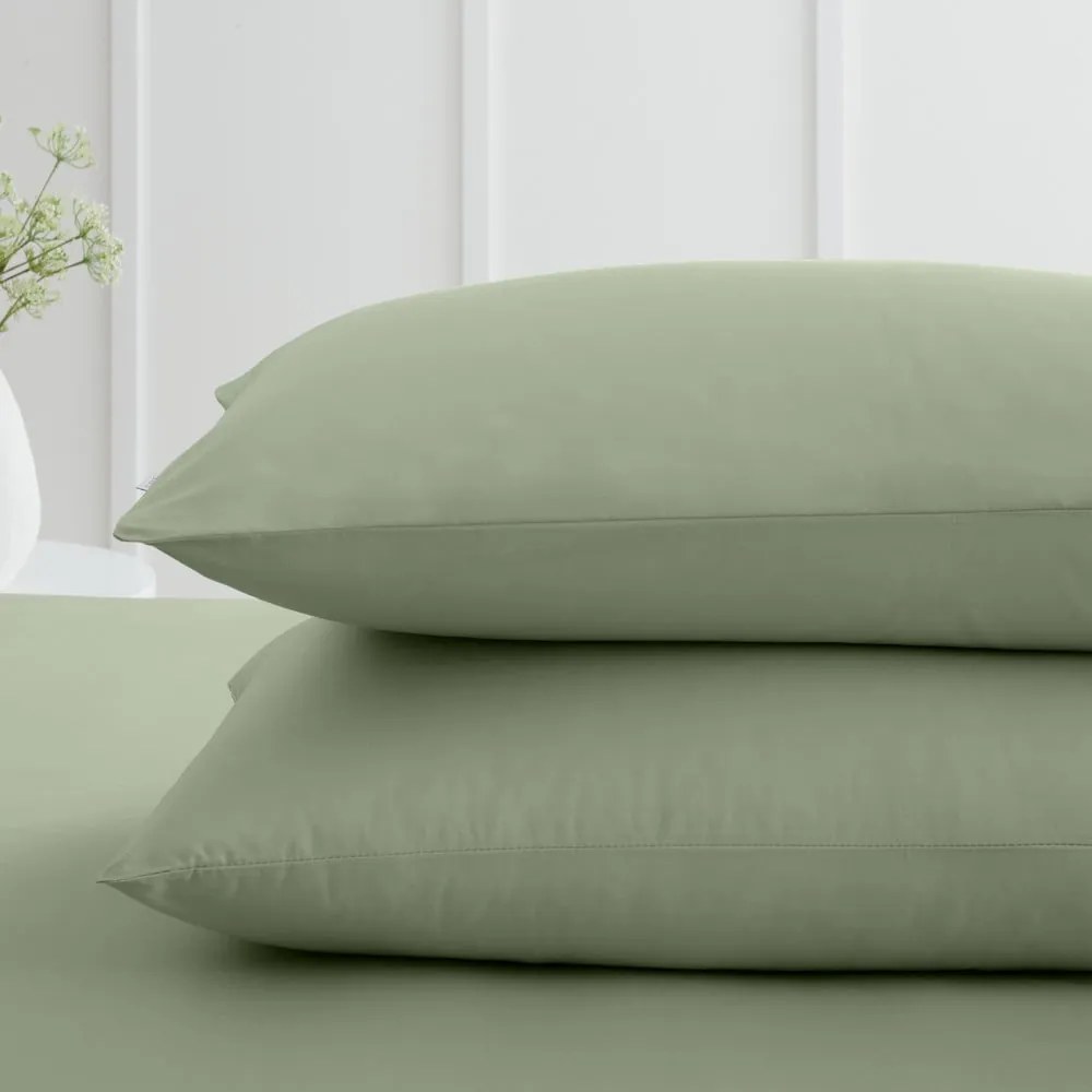 Pamut-perkál párnahuzat szett 2 db-os 50x75 cm Cotton Percale – Bianca
