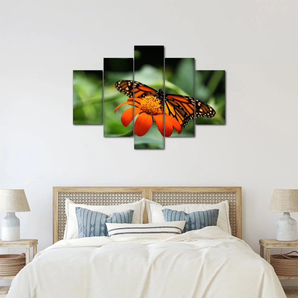 Pillangó képe a virágon (150x105 cm)