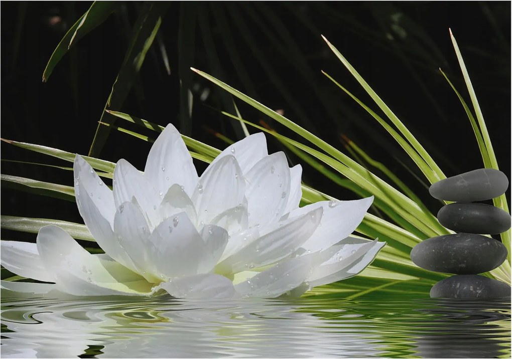 Fotótapéta Flizelin Dekoratív tapéta Liliom meditáció 208x146 Ragasztó