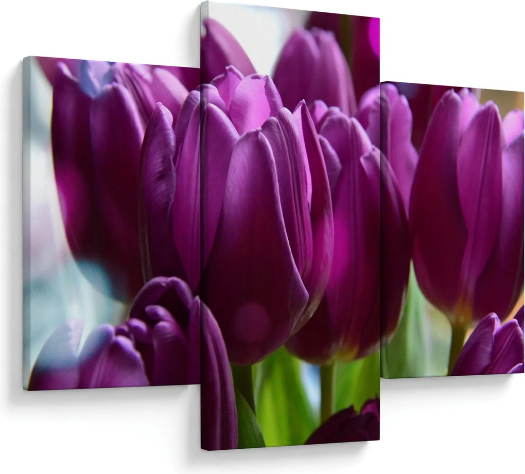 Tulipán képe (90x60 cm)