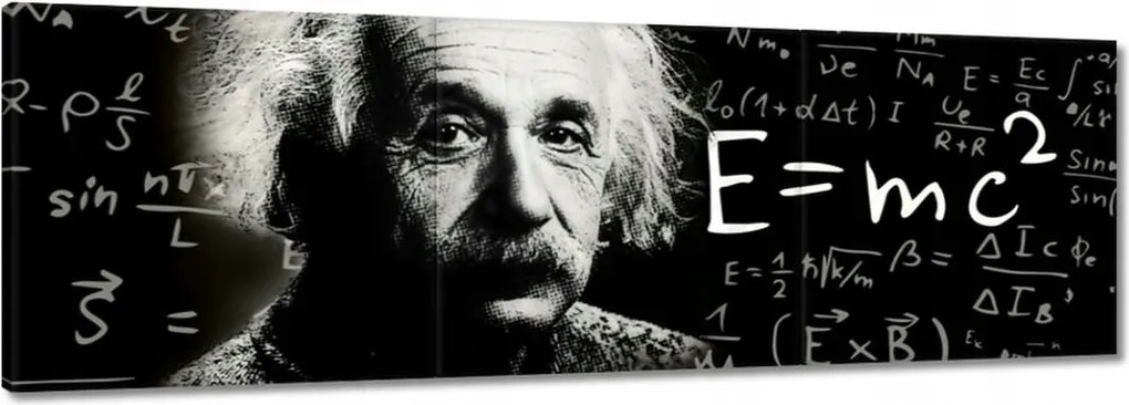 Festmények 90x30 Albert Einstein