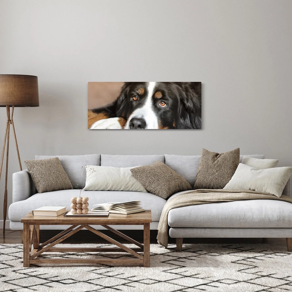 Kutya képe (120x50 cm)