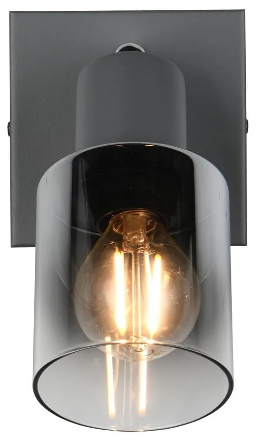 Antracitszürke spotlámpa ø 7 cm Cadiz – Trio