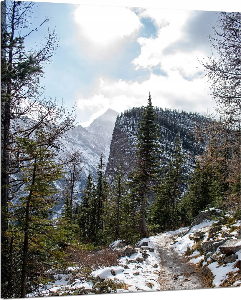Vászonkép Természet Hegyi ösvény 80x100 cm